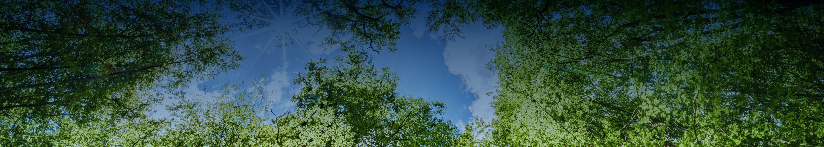 Decarbonization